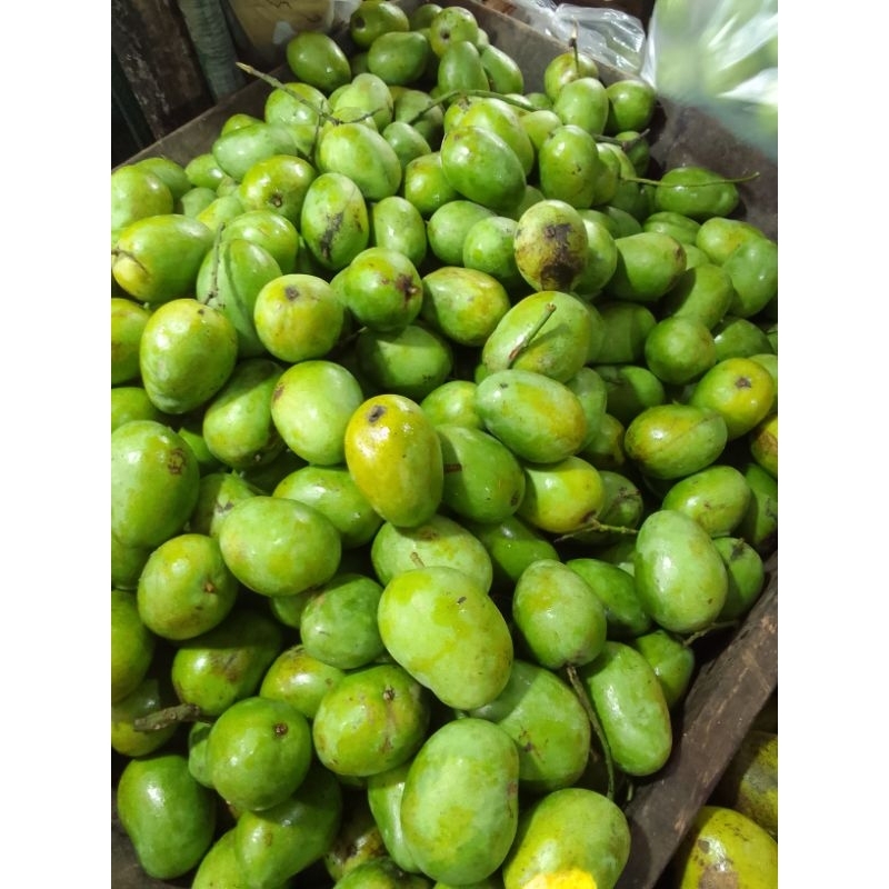 

mangga muda 500 gr fresh