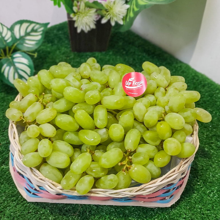 Anggur Hijau Thompson - Anggur hijau