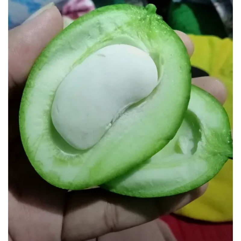

mangga telur mentah belah biiji segar 1 kg