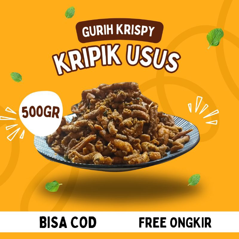 

PROMO KRIPIK USUS