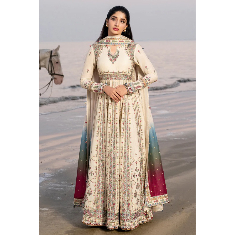 Luxury pakistani dress