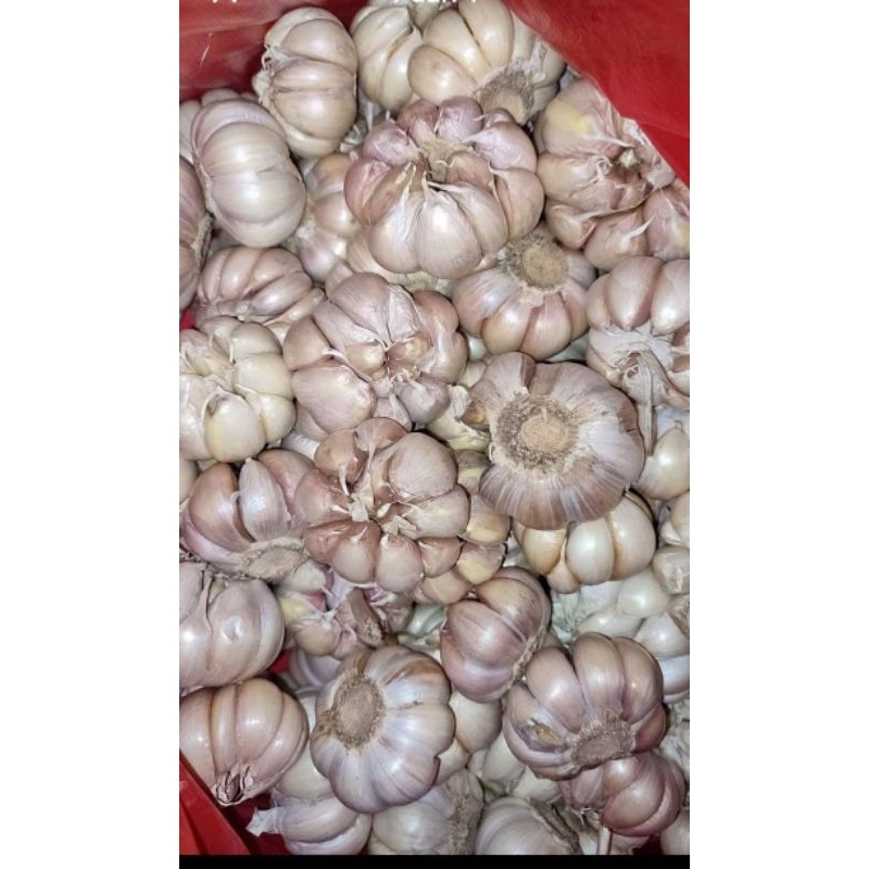 

Bawang putih bersih