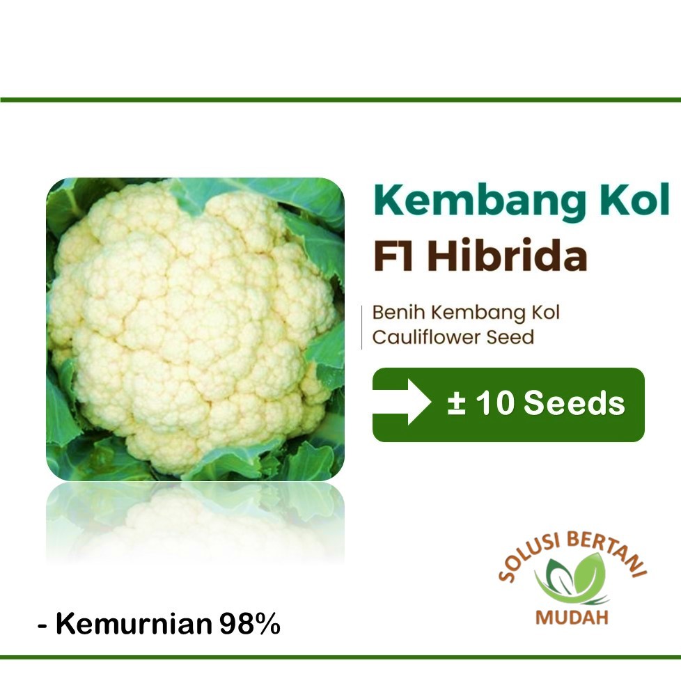 10 Biji - Bibit Benih Sayuran Brokoli Putih Unggul