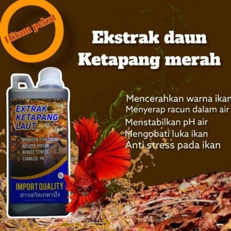 Ekstrak daun ketapang 100ml