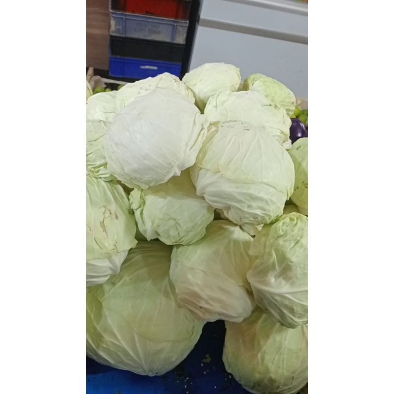 

sayur mayurr kol500gr1kg