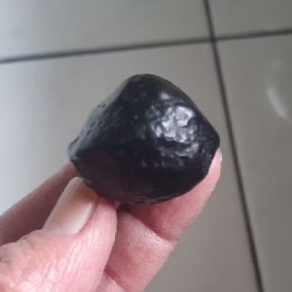 Kemiri Adu Muncang Adu Anak MD Pasangan Mewah