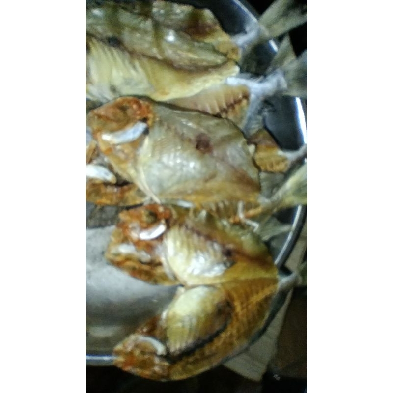 

ikan kering baronang