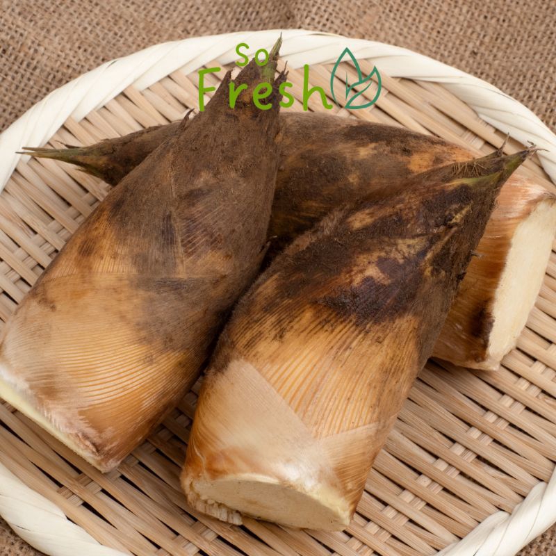 

Rebung bambu Segar 250gr/Rebung segar/Fresh bamboo shoots