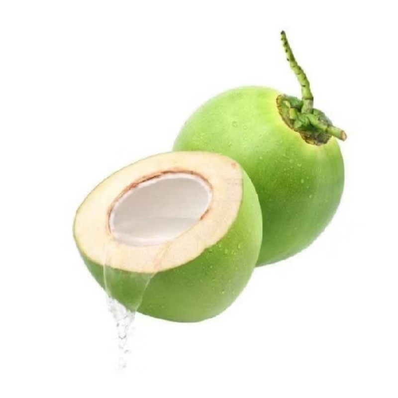 

KELAPA MUDA SEGAR 1PCS / DEGAN IJO BARU PETIK POHON