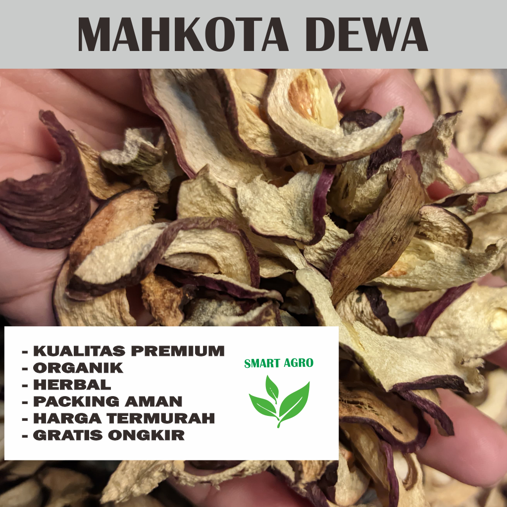 

Mahkota Dewa kering 250 Gr Asli Kualitas Super