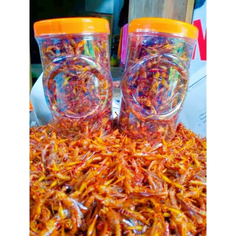 

belalang goreng kecil walang goreng kecil Belalang goreng utis food jajan snack makanan viral pedas gurih makanan ringan camilan murah enak bergizi