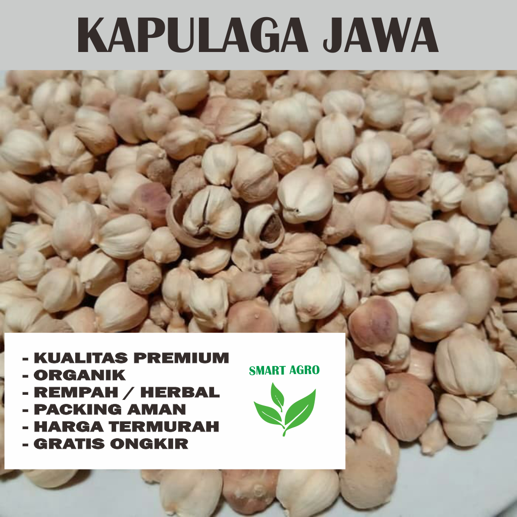 

Kapulaga Kapolaga Kering 250 GR Super Premium