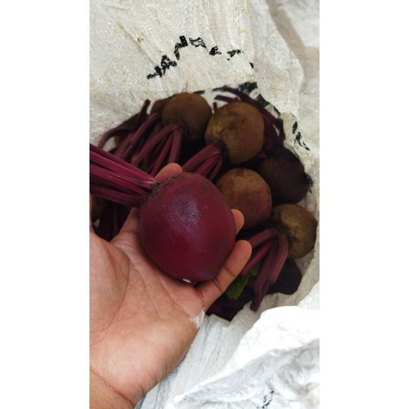 

baetroot/betroot/beetroot