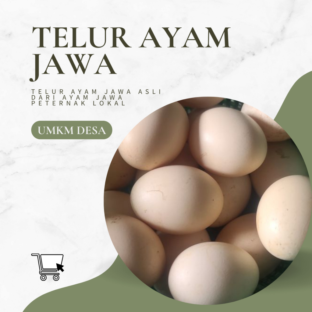 

Murah!!!! Telur Ayam Jawa Asli dari Peternak Lokal per Butir