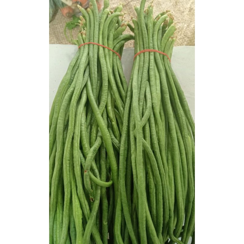 

sayur maur kacang panjang 500gr 1kg