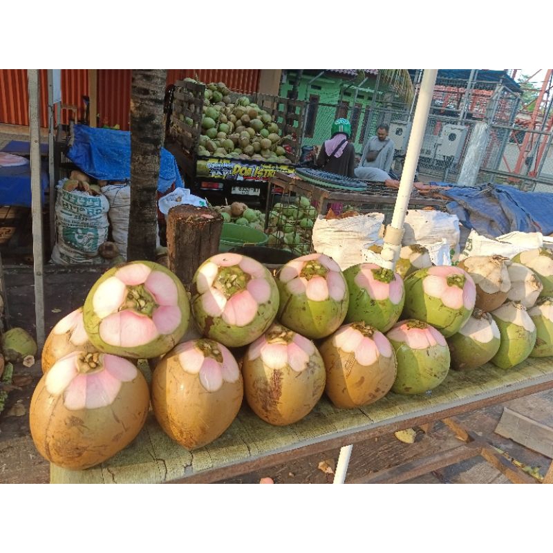 

kelapa ijo/wulung asli