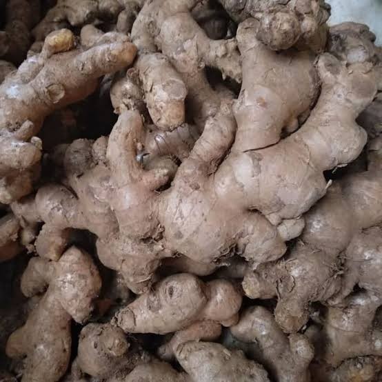 

TERLARIS JAHE GAJAH BESAR / JAHE PUTIH SUPER 1 KG