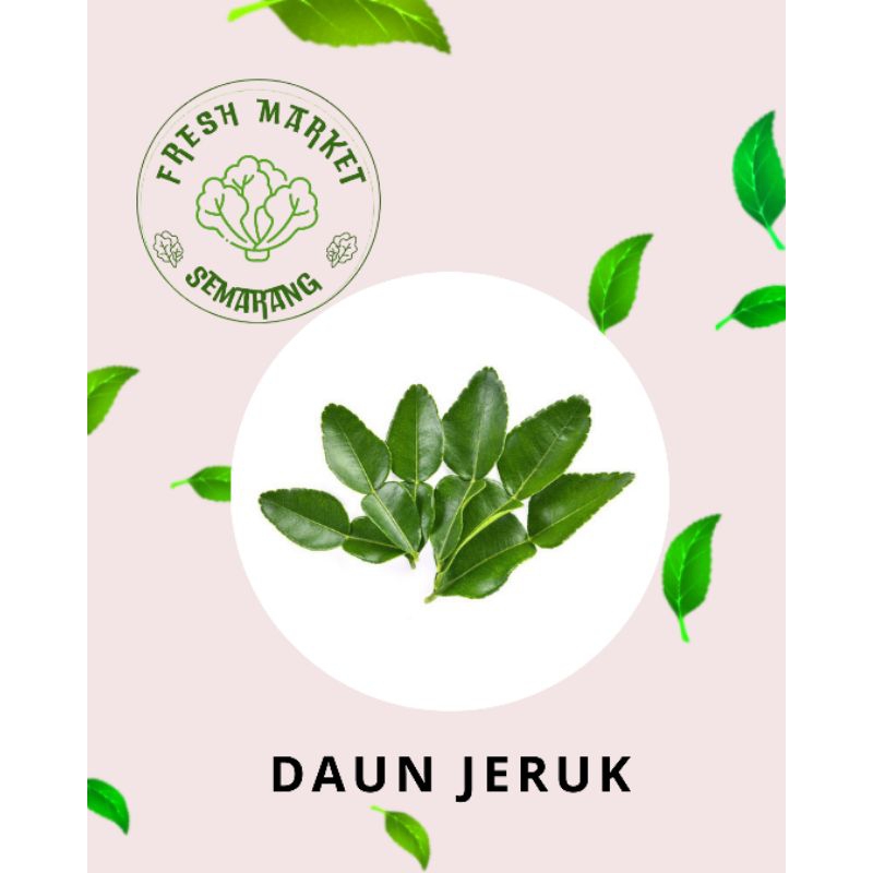 

[INSTAN] DAUN JERUK PURUT UNTUK AROMATIK MASAKAN SEMARANG