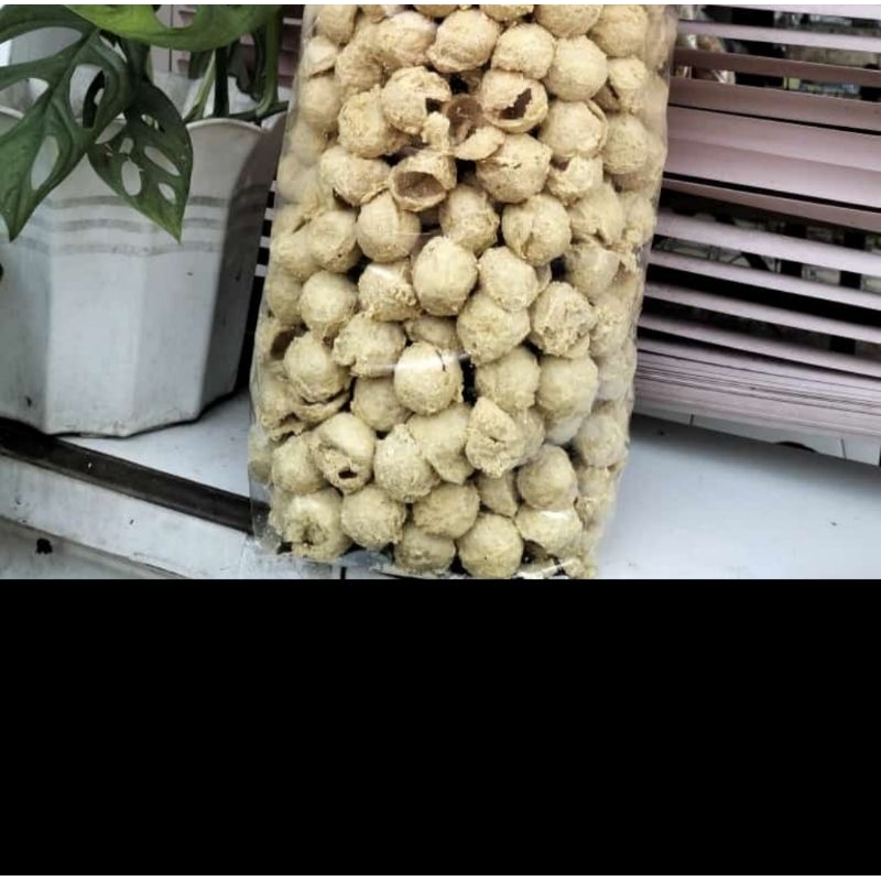 

Tahu walik krispi super