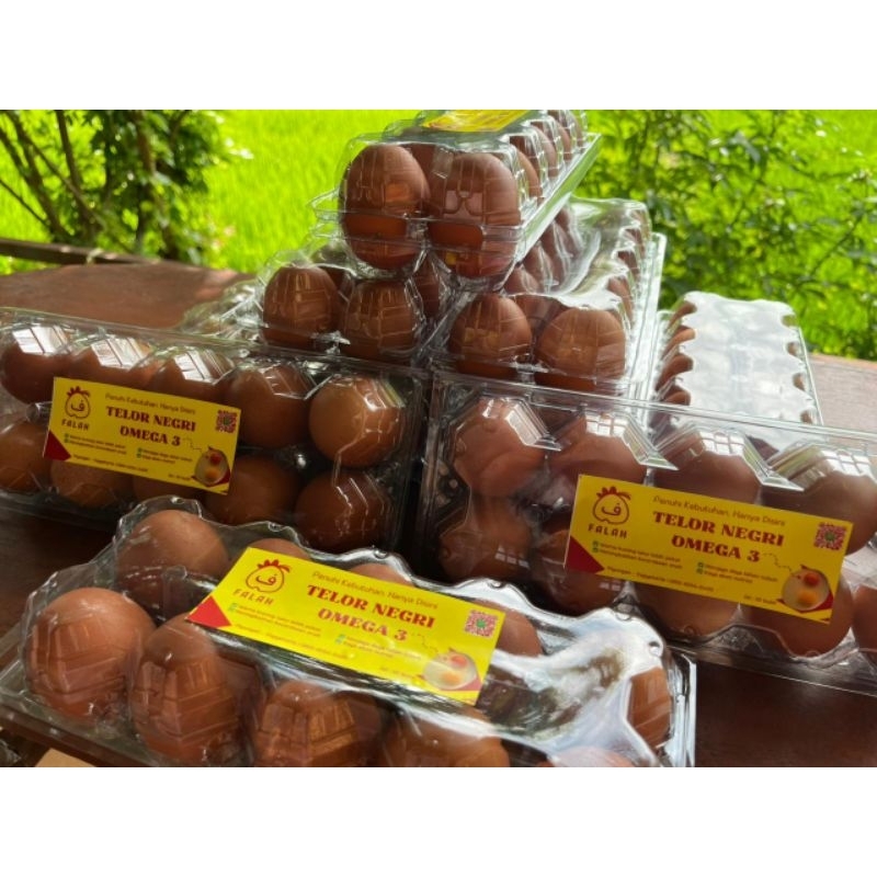 

Telur Sehat Omega 3 – Asupan Cerdas Keluarga sehat