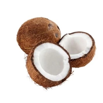 

Kelapa Tua Bahan Santan/Kelapa Tua Utuh/Buah Kelapa/Kelapa Kering Original