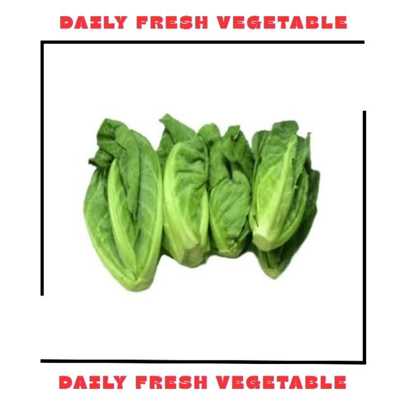 

Ceciwis Fresh 250gr