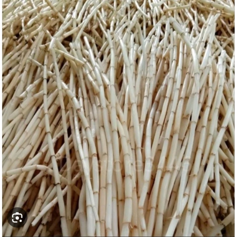 

akar alang alang segar 1kg