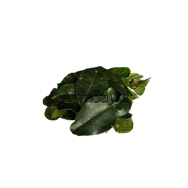 

Daun jeruk