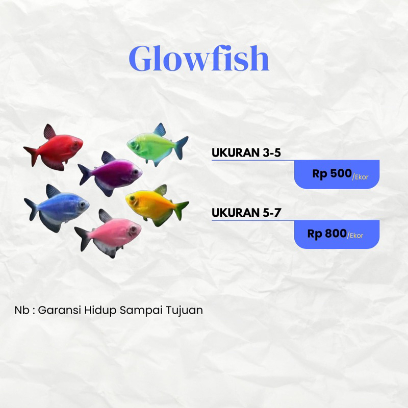 Hiasan Glowfish