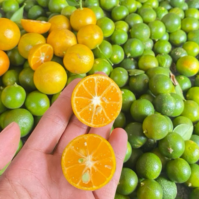 

1kg jeruk peras super jeruk sonkit jeruk kasturi