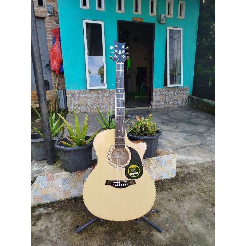 gitar cort akustik custom