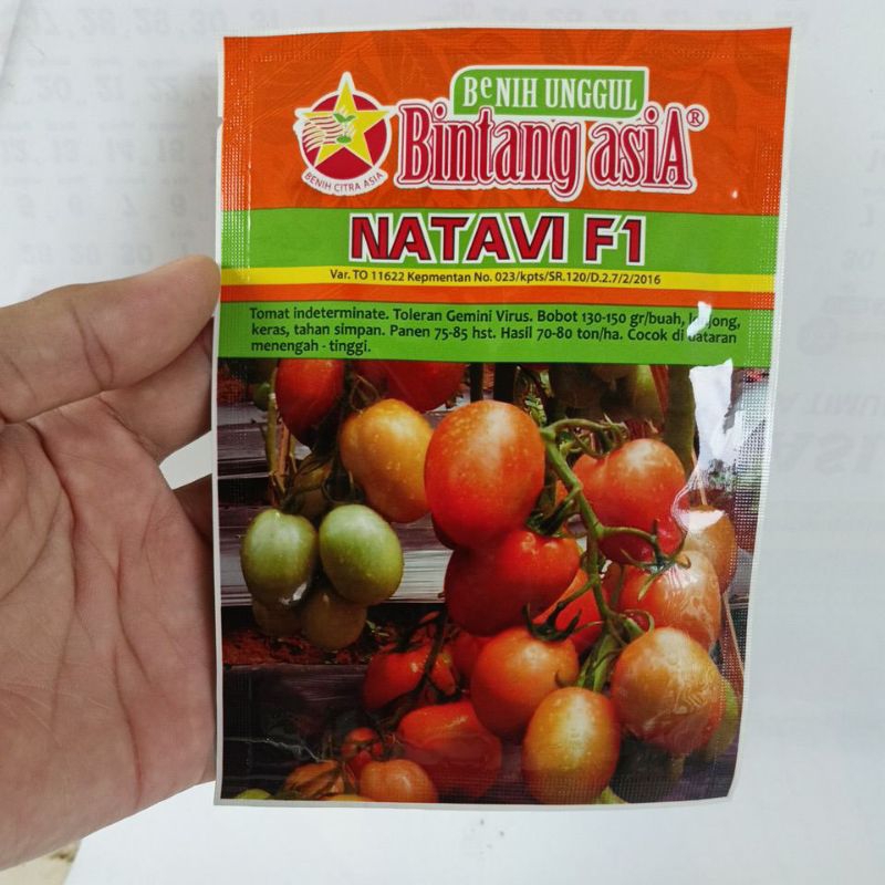 Tomat NATAVI F1 Cap Bintang asiA 5gr