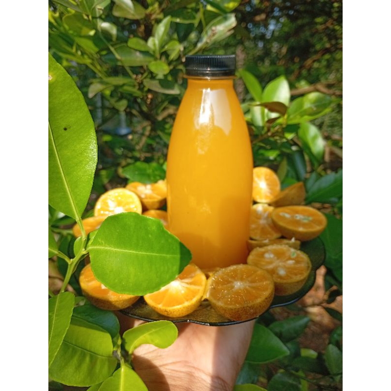 

sirup jeruk sonkit 100% murni sari Jeruk, Jeruk fresh songkit /kasturi 250ml