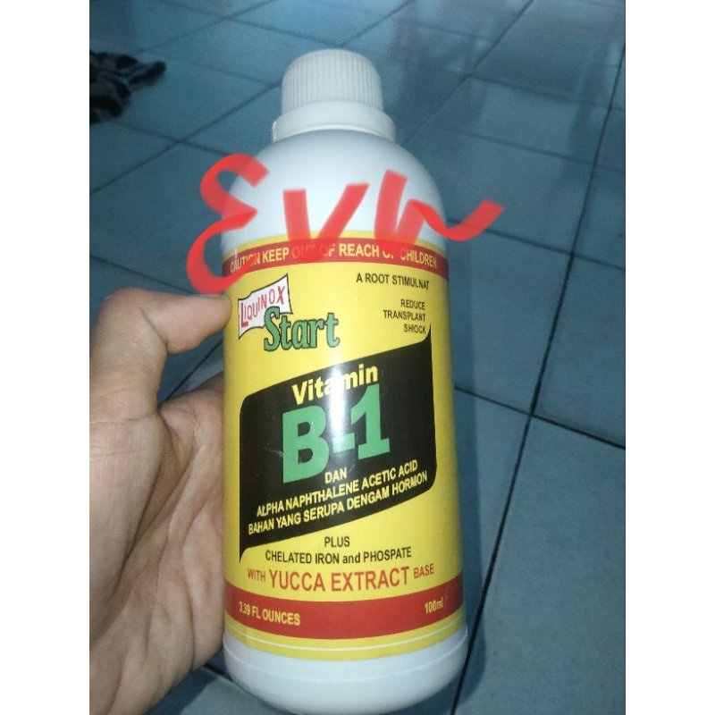 Vit B1 Tanaman isi 500 ml