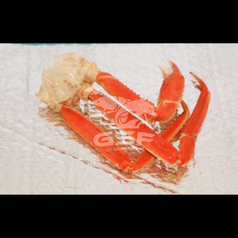 

SNOW CRAB LEG– Kaki Kepiting Salju Premium