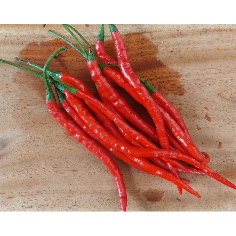 

cabai keriting merah