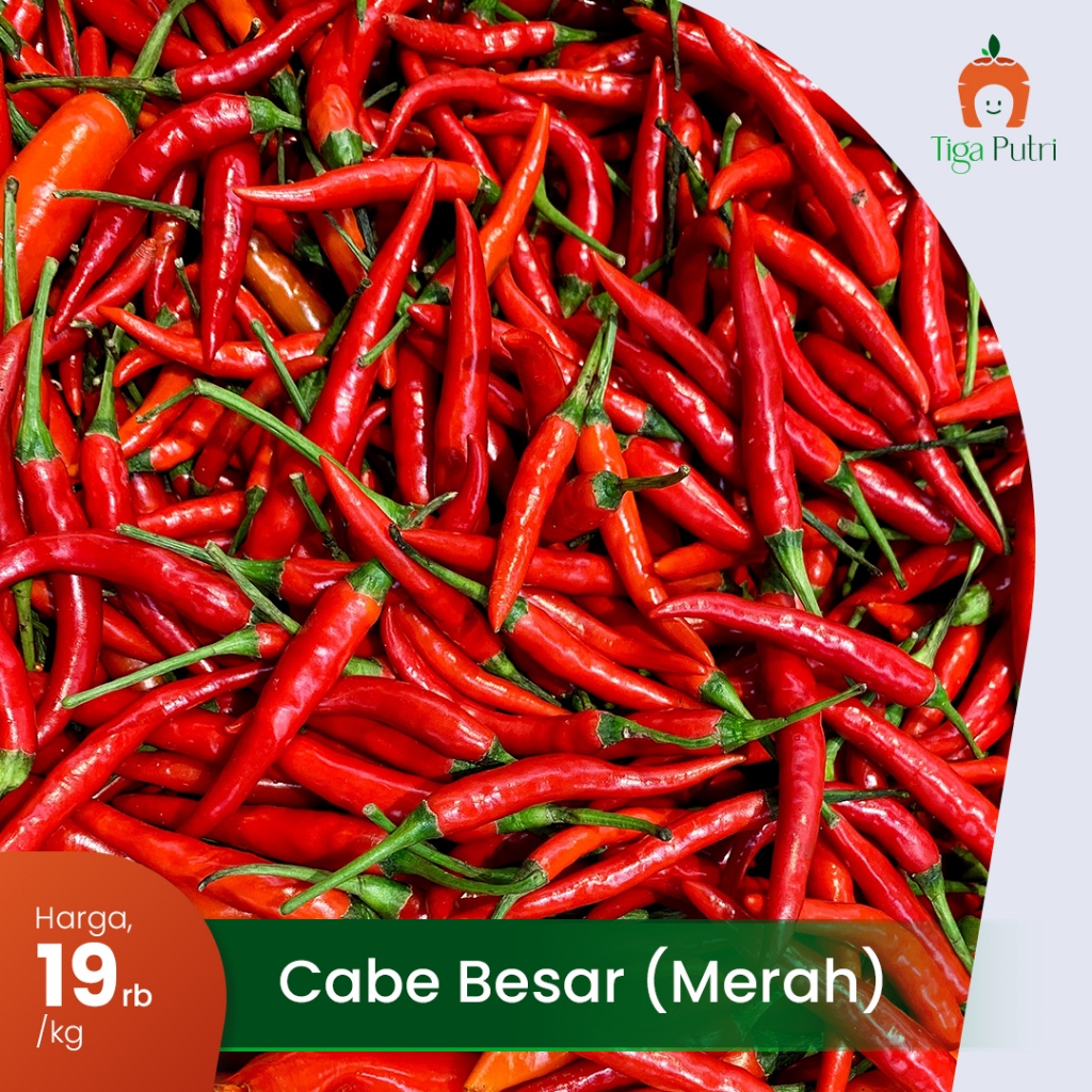 

Cabai Merah Besar Segar 1KG