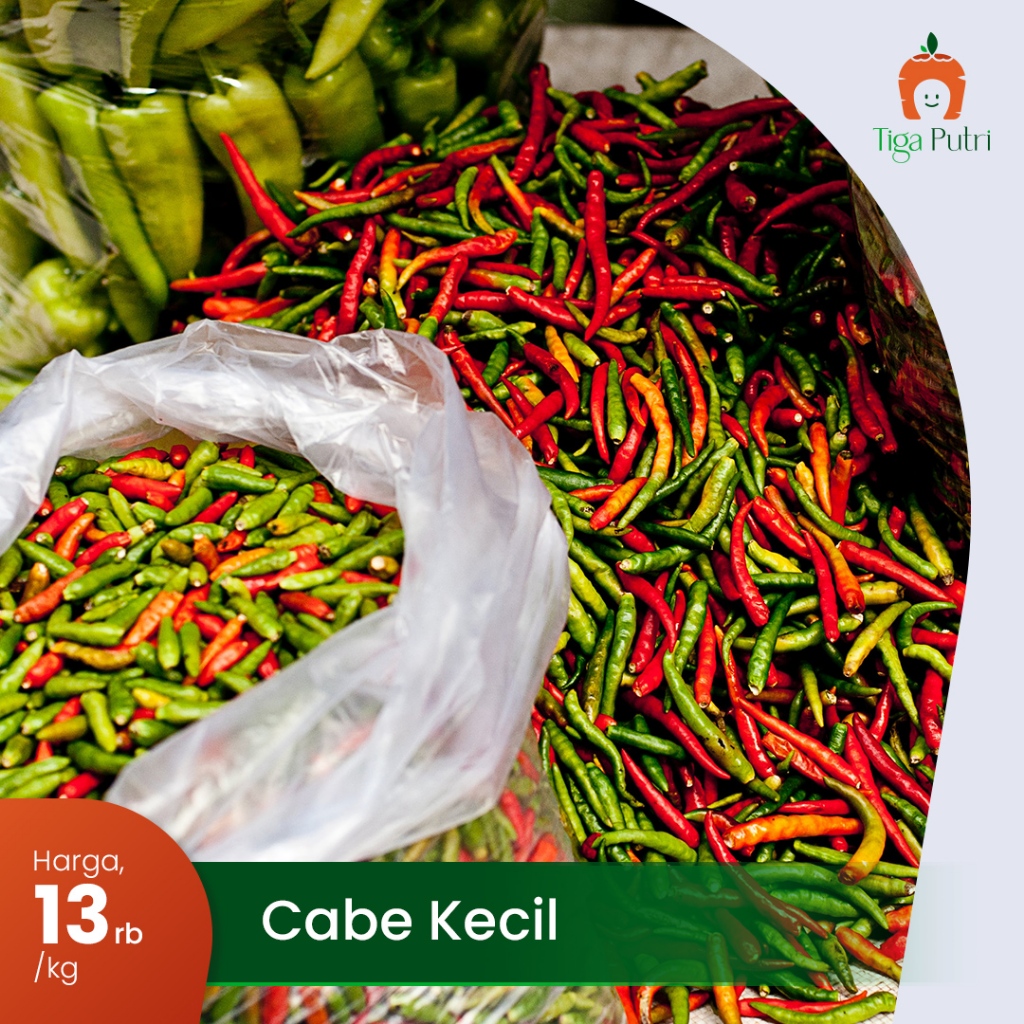 

Cabai Kecil Super Pedas !
