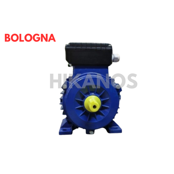 Elektro Motor Bologna 4 HP 2 POLE 2800 RPM B3 1 Phase Dinamo Dynamo Elektro Motor Foot Mounted