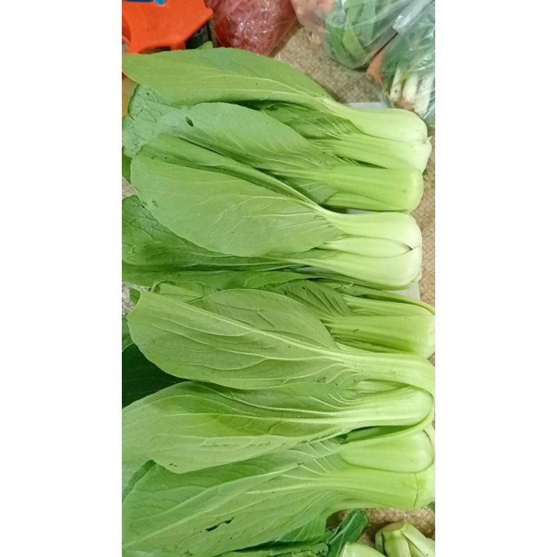 

sayur mayur Pakcoy fress seger 250gr 500gr 1kg