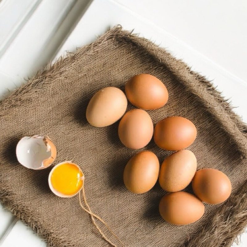 

TELUR AYAM NEGRI FRESH HARGA 1KG