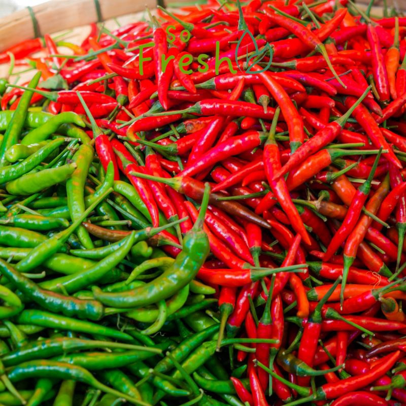 

Cabai Rawit Merah Segar 100gr/Cabai Rawit/cabai Keriting/Fresh chili