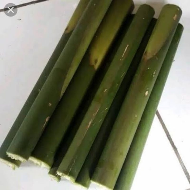 

batang rias pohon kecombrang 250g
