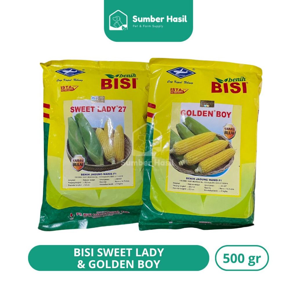 BENIH JAGUNG MANIS 500GRAM BISI BIBIT JAGUNG MANIS SWEET LADY & GOLDEN BOY ORIGINAL