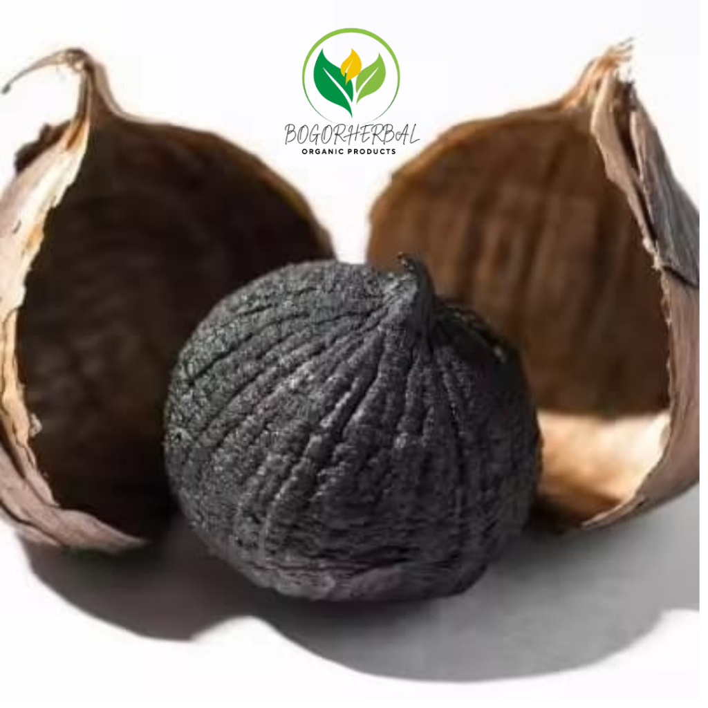 

COD BLACK GARLIC PREMIUM BAWAN HITAM TUNGGAL 250GRAM 500GRAM FREE GOLD HERBAL