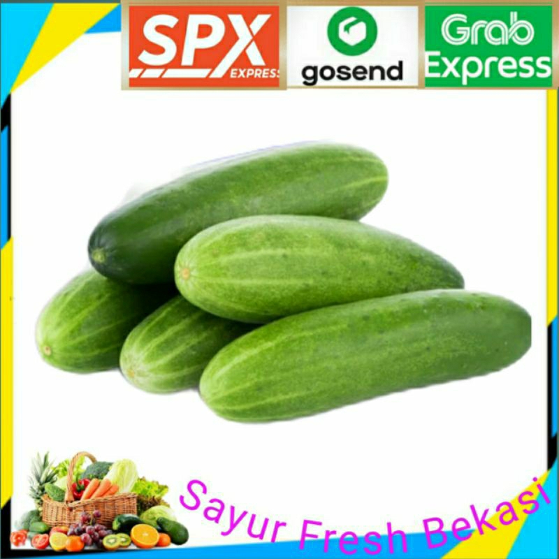 

Timun/Mentimun Segar 500g.