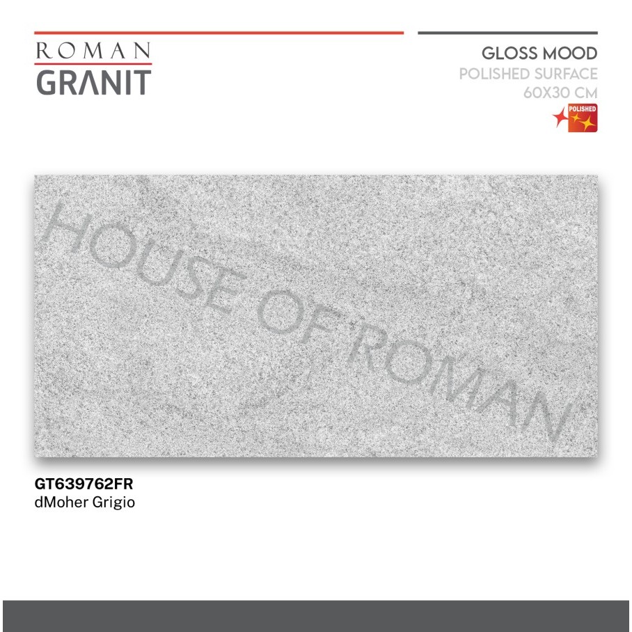 ROMAN GRANIT dMoher Grigio 60x30 GT639762FR ROMAN GRANIT