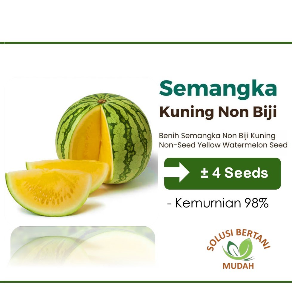 Benih Buah Semangka Non Biji Kuning