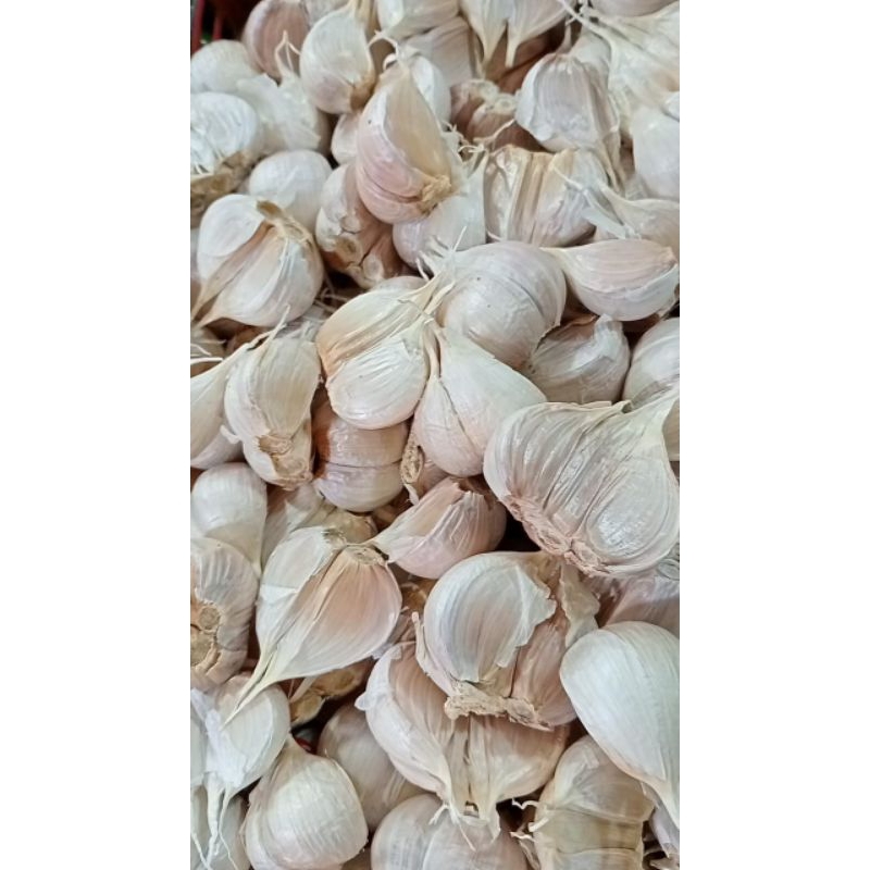 

bawang kating fres bawang kating bersih250gr 500gr1kg