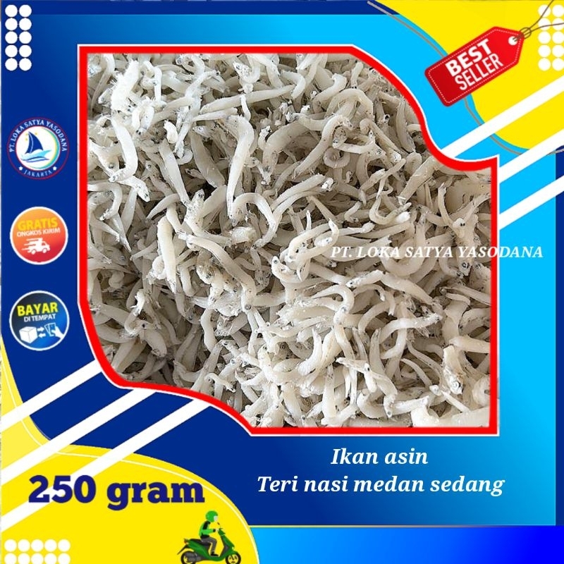 

ikan asin teri nasi medan sedang 250gram